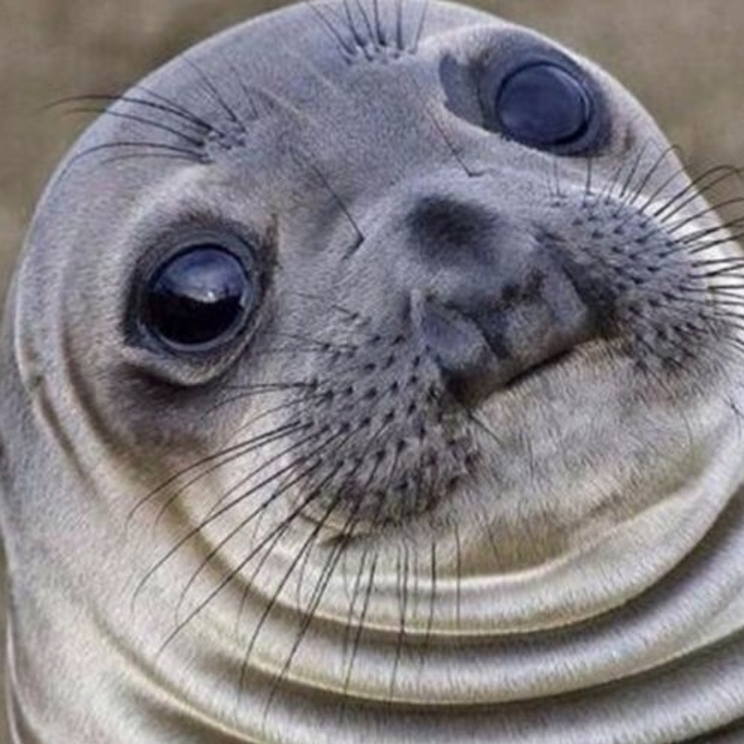 Seal